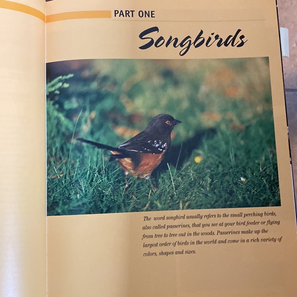 Artist’s Photo Reference songbirds & other Favorite Birds Hardback book - Picture 4 of 8